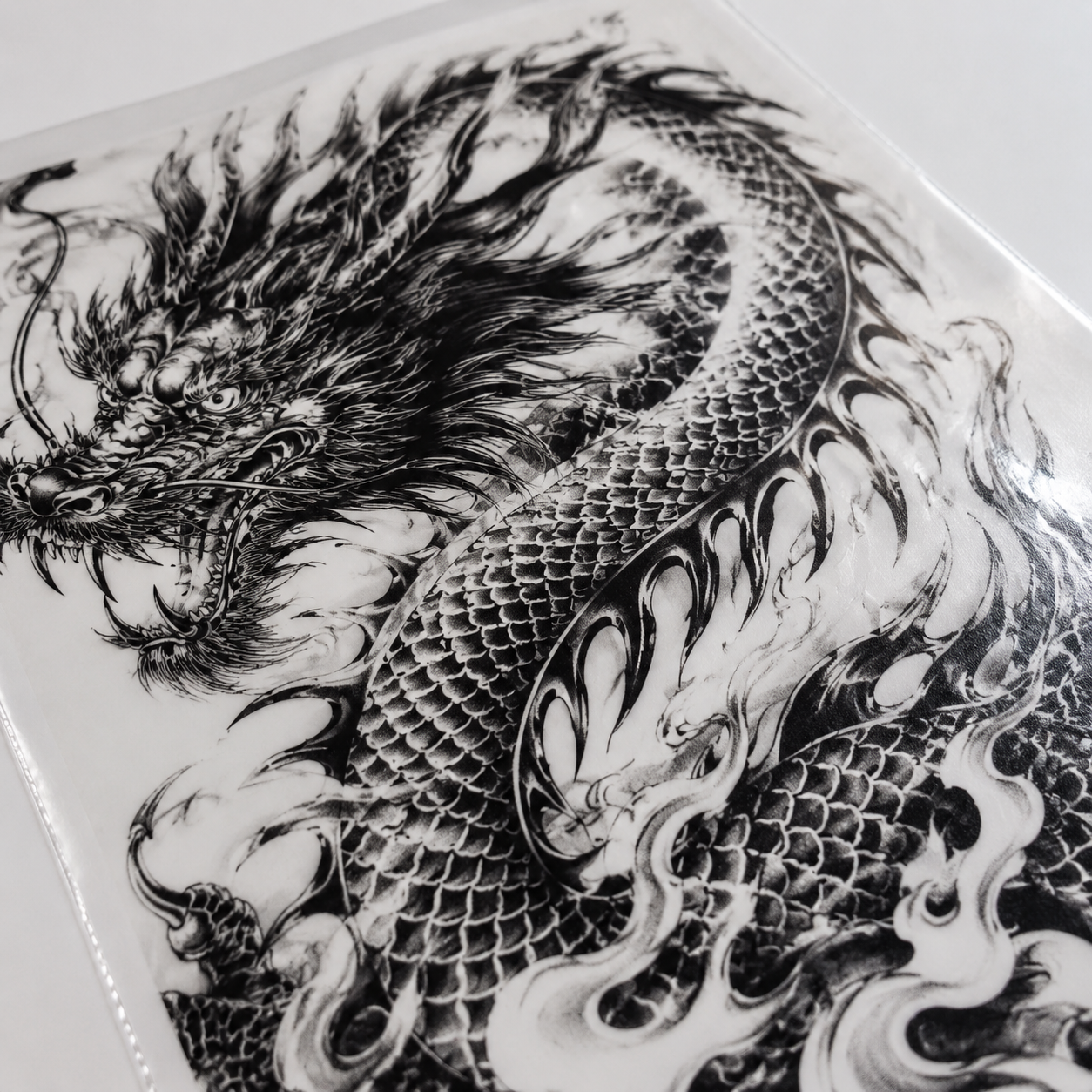 Full-Back Dragon Tattoo Sheet - detail view