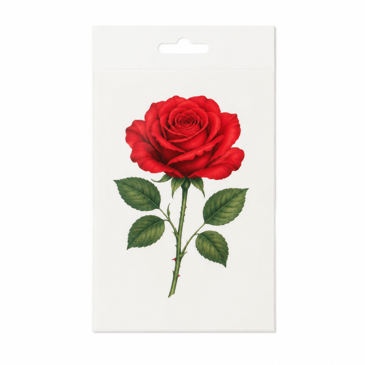 Shoulder Rose Sheet