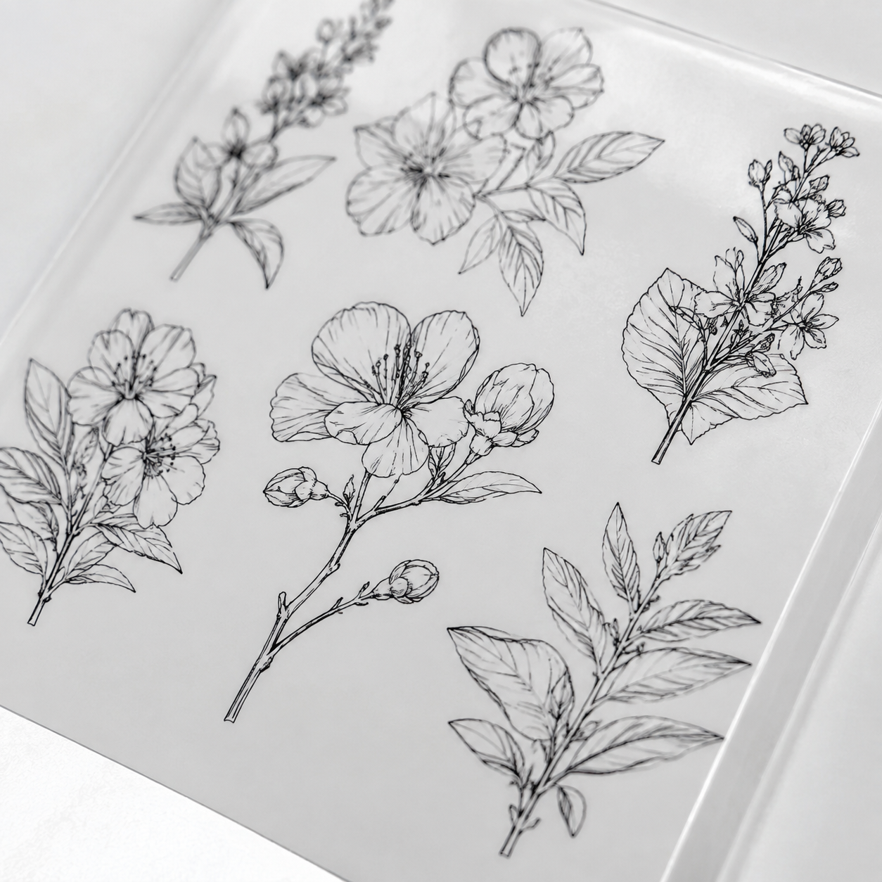 Delicate Line Botanical Set - detail view