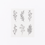 Delicate Line Botanical Set