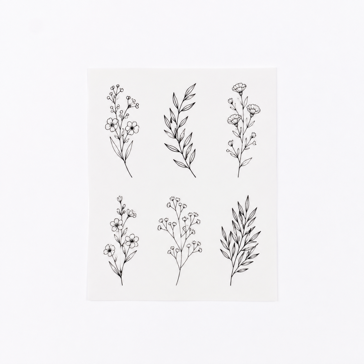 Delicate Line Botanical Set